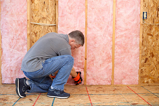 Best Wall Insulation Installation  in Lihue, HI