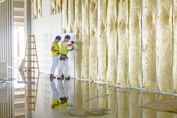 Best Insulation for New Construction  in Lihue, HI